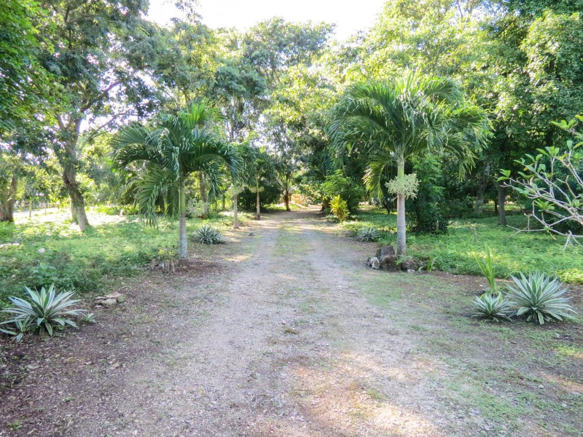 Cabanas Calakmul Conhuas Exterior photo