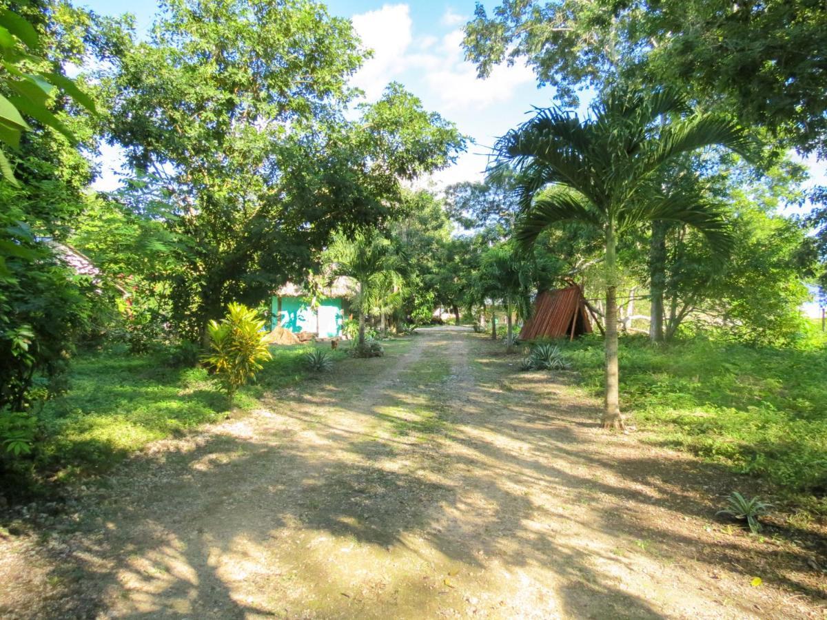 Cabanas Calakmul Conhuas Exterior photo