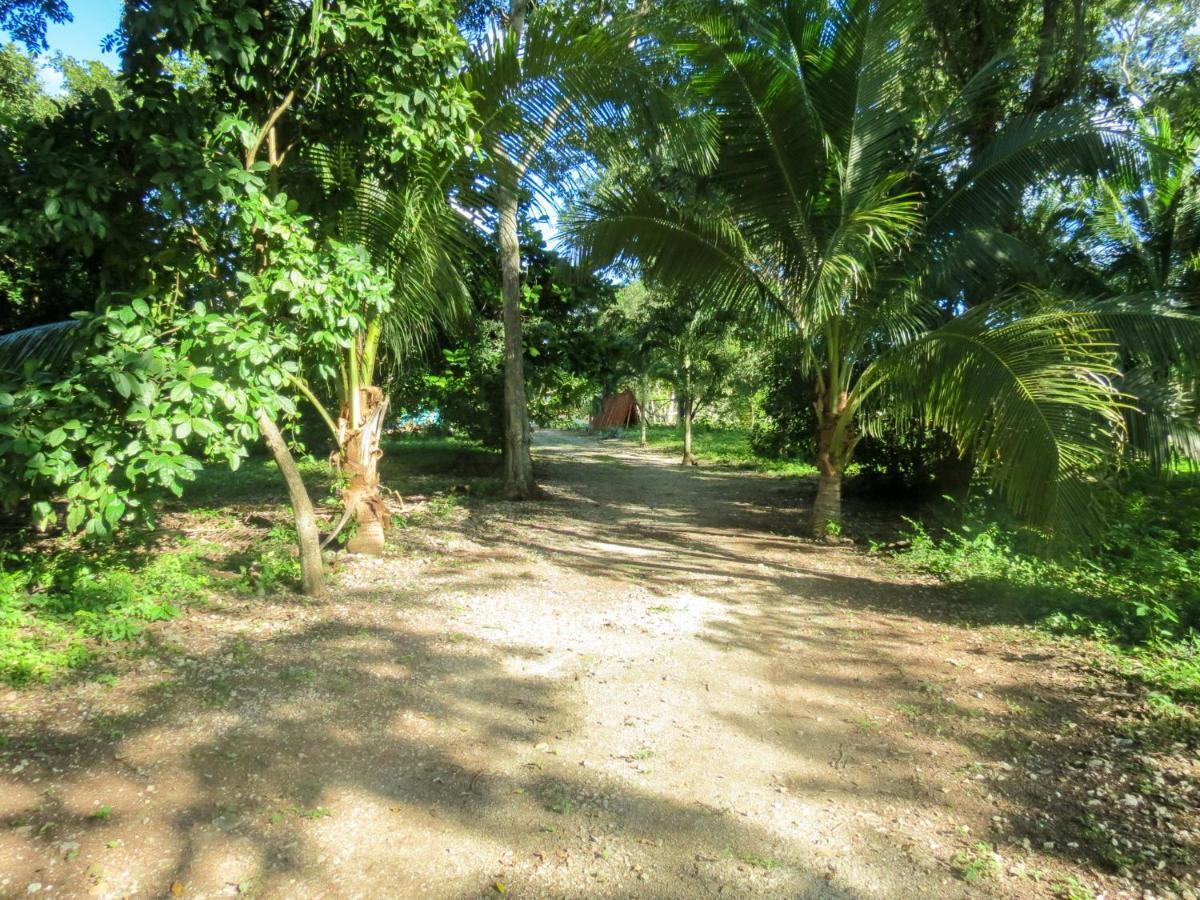 Cabanas Calakmul Conhuas Exterior photo